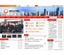 企业定制