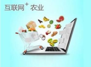赵朝政创建大理农副产品网.手机,打造农副产品行业领军平台