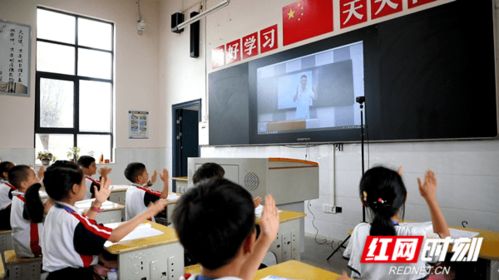 数字乡村 开启乡村振兴新动能