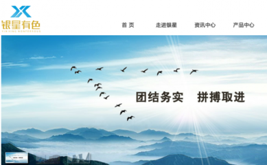 湖南省桂阳银星有色冶炼与本司签约网站设计项目