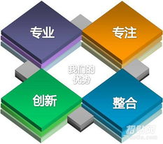 湖南网络公司 网站建设 网络推广 价格实惠 效果好