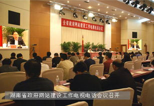 湖南省政府网站建设工作电视电话会议召开