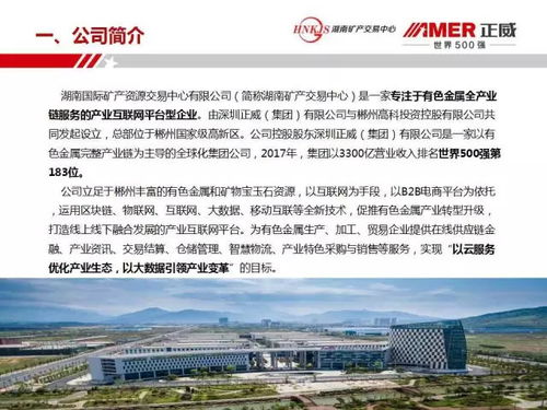 郴州又有大动作了,峰会大咖说 我们这样要构建中国银都白银产业互联网平台