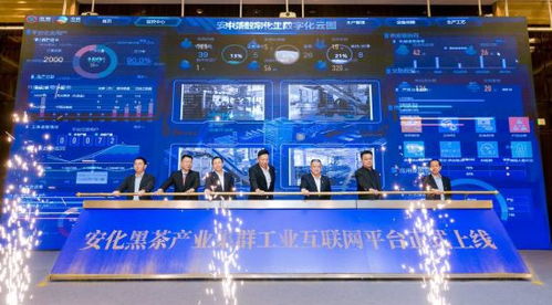 湖南安化黑茶产业集群工业互联网平台上线