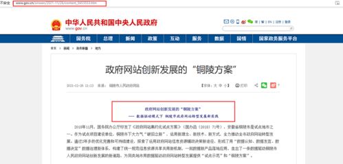 铜陵一女子花18万克隆小狗 铜陵将开通新公交线路 铜官区又有21所校外培训机构终止办学