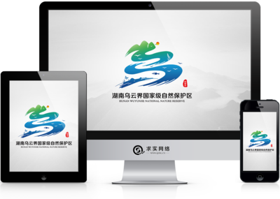 常德求实网络科技有限责任公司|常德网络公司、常德网站建设制作