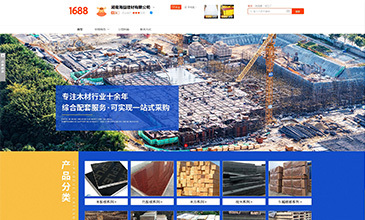 长沙网络推广|湖南阿里巴巴1688代运营托管|网站开发建设SEO|抖音运营推广公司
