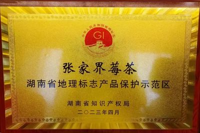 张家界市政府门户网站 - 区县联播