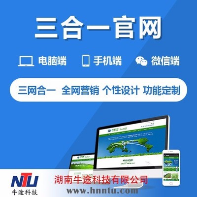 3合1网站建设价格-湖南3合1网站建设电话-企业3合1网站建设哪家好