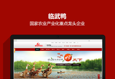 深度网提供企业营销型网站建设,营销型手机网站建设