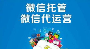 网站建设信息 湖南哪家网站建设公司口碑好