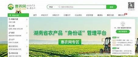 惠农区企业网站建设新篇章 惠农建设集团引领数字化转型